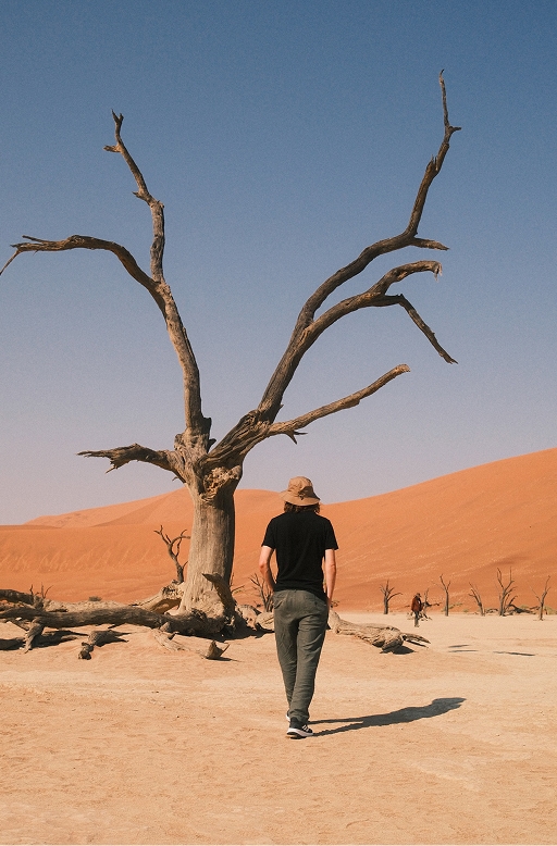 Deadvlei, Namibia